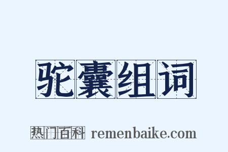 驼囊组词是什么意思的图片